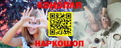 сатива Краснознаменск