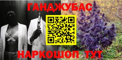 сатива Краснознаменск