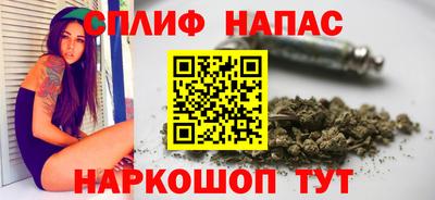 сатива Краснознаменск